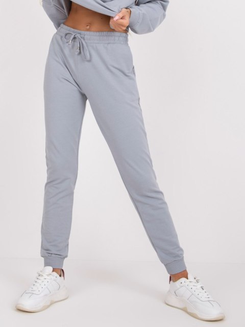 Spodnie dresowe AP-DR-A-003 szary XL