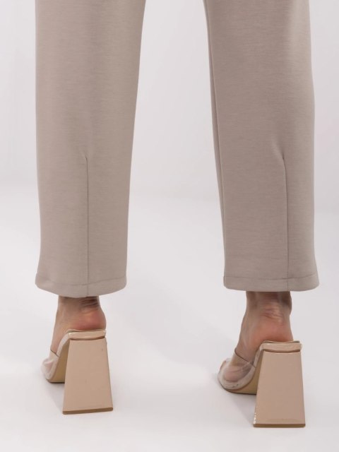 Spodnie DHJ-SP-20523.66P ciemny bezowy