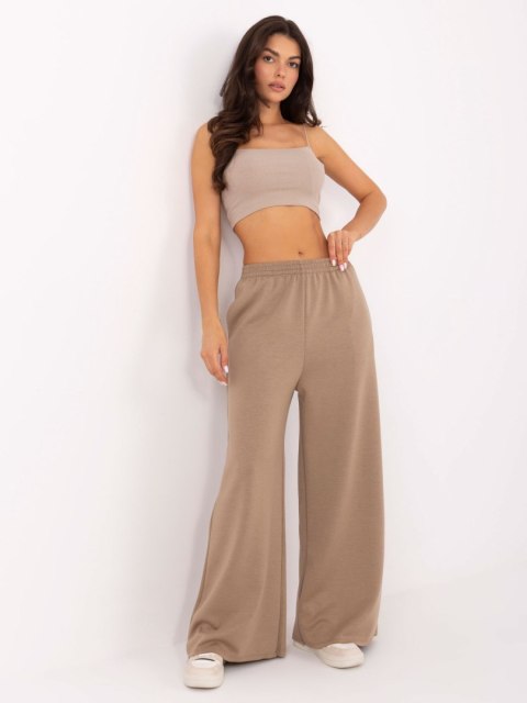 Spodnie IT-SP-21559.75 ciemny bezowy