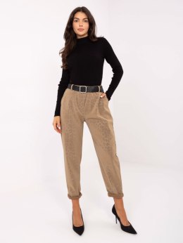 Spodnie IT-SP-242976.29P camelowy