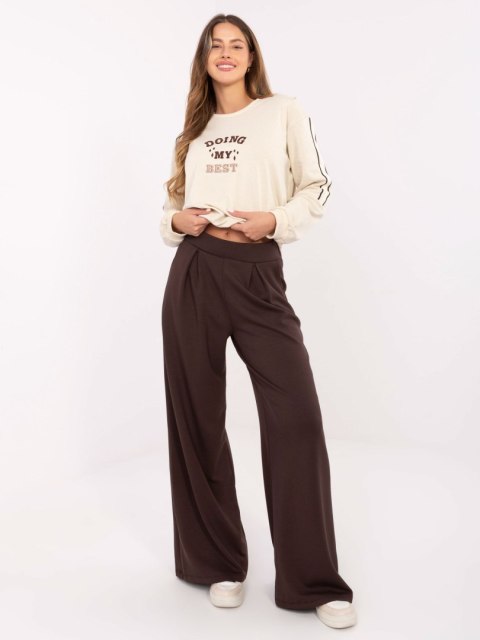 Spodnie dresowe RV-DR-A613.69 ciemny brązowy