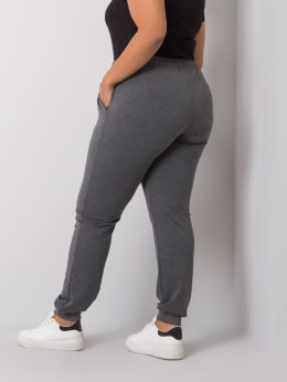 Spodnie dresowe RV-DR-6301.88 ciemny szary 3XL