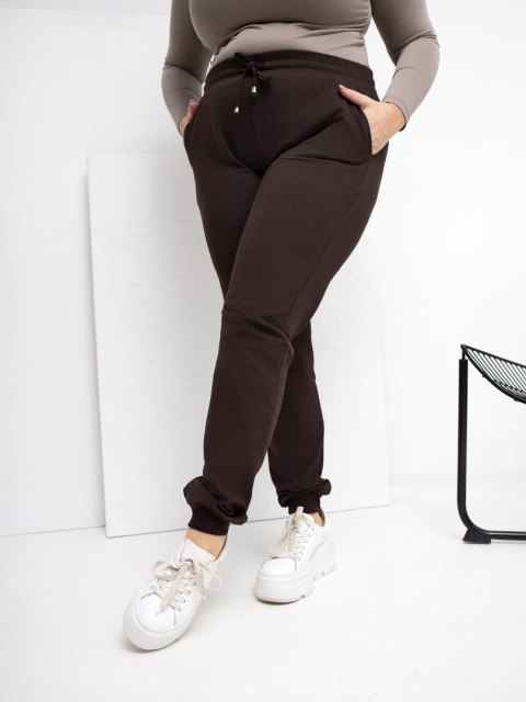 Spodnie dresowe RV-DR-6301.88 ciemny brązowy 4XL