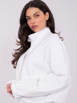 Bluza WT-BL-A1460.19P