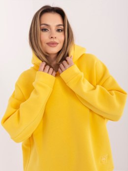 Bluza RV-BL-A1037.06