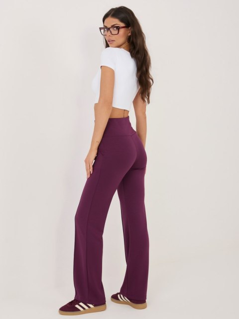 Spodnie dresowe RV-DR-A1289.01 ciemny fioletowy L/XL