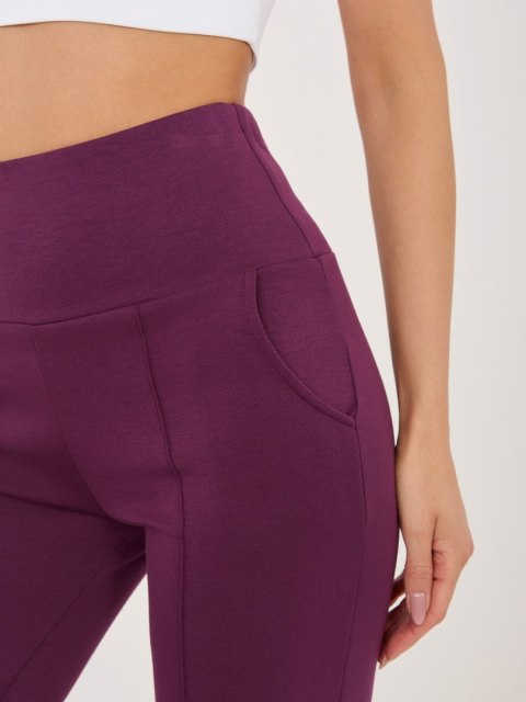 Spodnie dresowe RV-DR-A1289.01 ciemny fioletowy L/XL