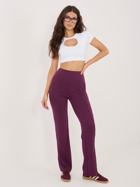 Spodnie dresowe RV-DR-A1289.01 ciemny fioletowy L/XL