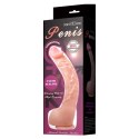 DILDO SEXTOY TOP PENIS