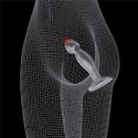 KOREK ANALNY FLAWLESS CLEAR PROSTATE PLUG 6.5''