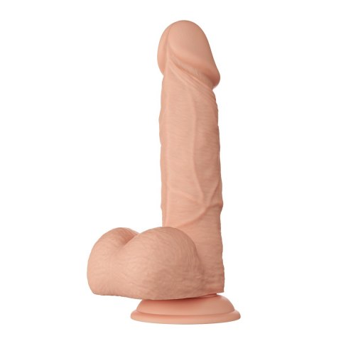 DILDO BEAUTIFUL BAHAMUT