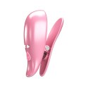 VIBRATION NIPPLE CLAMPS