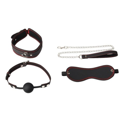 ZESTAW BDSM 4 PRODUKTÓW EROSPACE WILD PLAY C9