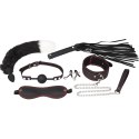 ZESTAW BDSM 7 PRODUKTÓW EROSPACE WILD PLAY C8