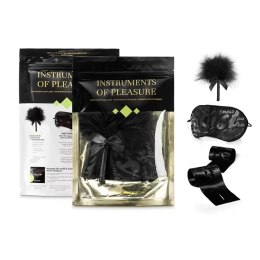 ZESTAW BDSM BIJOUX INSTRUMENTS OF PLEASURE - PURPLE