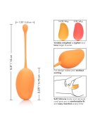 Kulki kegla Calexotics silikonowe mango zestaw 14 cm