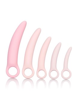 Zestaw dilatorów silikonowych Calexotics Inspire różowy 5 szt