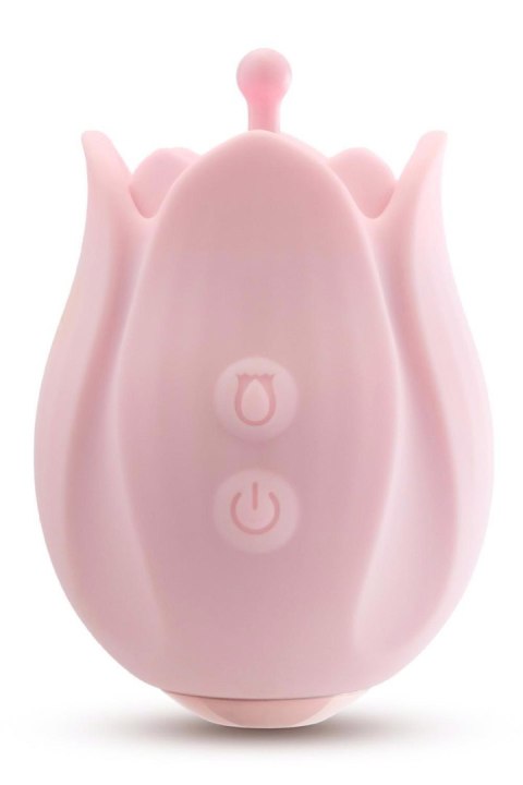 Stymulator łechtaczki Play With Me Romantic Rose różowy USB