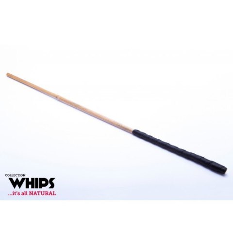 Trzcinka Bambusowa Whips