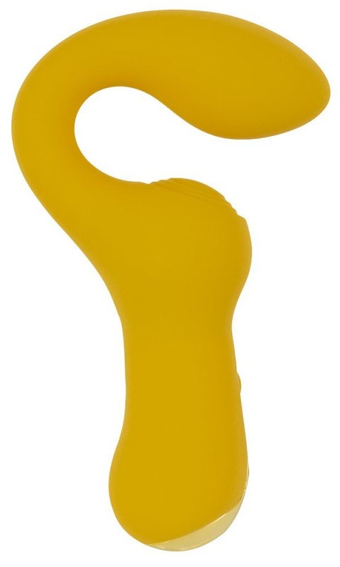 DOUBLE VIBRATOR