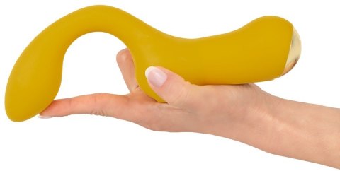 DOUBLE VIBRATOR
