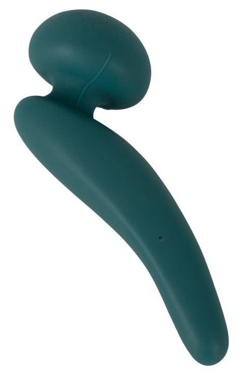 FLEXIBLE WAND