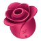 Stymulator Łechtaczki Pro 2 Modern Blossom Satisfyer