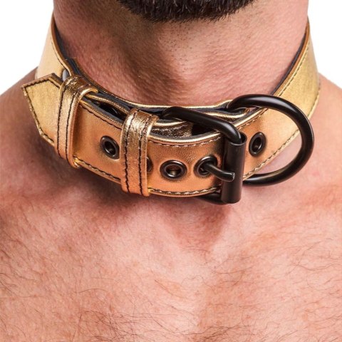 OBROŻA BONDAGE FETISH METALLIC PUP COLLAR WITH LEASH