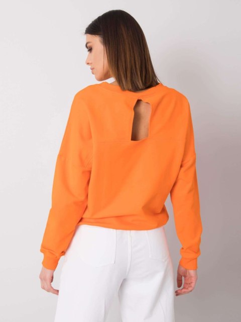 Bluza RV-BL-6119.04P