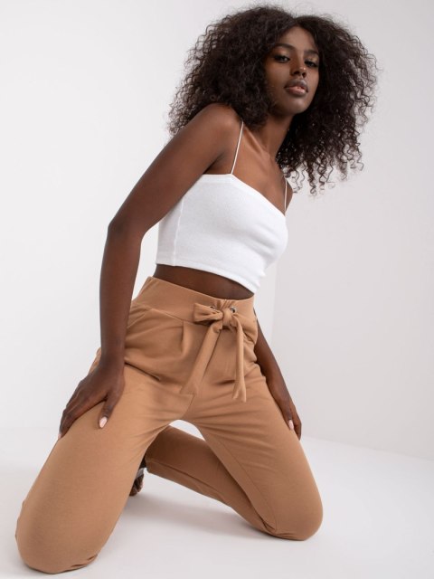 Spodnie dresowe RV-DR-7459.01X