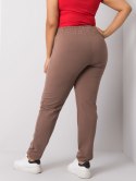 Spodnie dresowe RV-DR-6301.88 brązowy 2XL