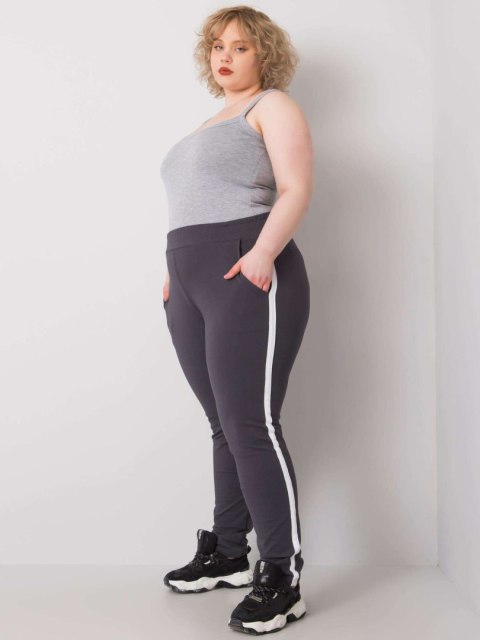 Spodnie dresowe RV-DR-6643.95 grafitowy 2XL