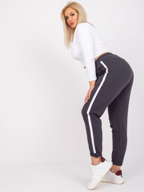 Spodnie dresowe RV-DR-6643.95 grafitowy 3XL