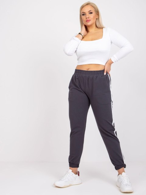 Spodnie dresowe RV-DR-6643.95 grafitowy 3XL