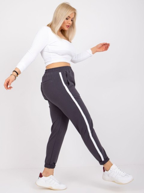 Spodnie dresowe RV-DR-6643.95 grafitowy 3XL