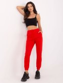 Spodnie dresowe TO-DR-1601003.24 czerwony S
