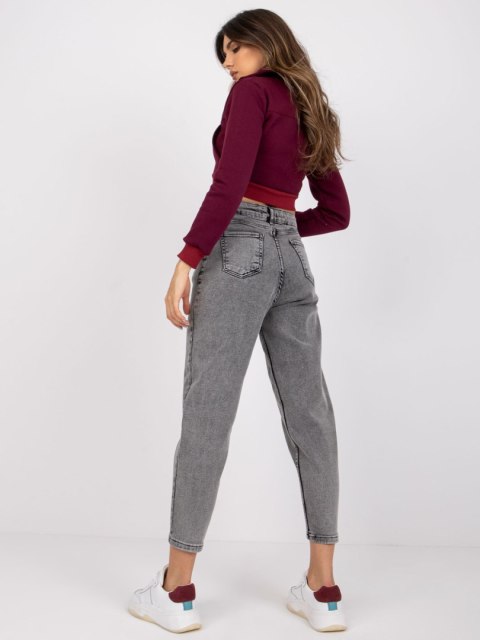 Spodnie jeans MR-SP-255.56P ciemny szary 25