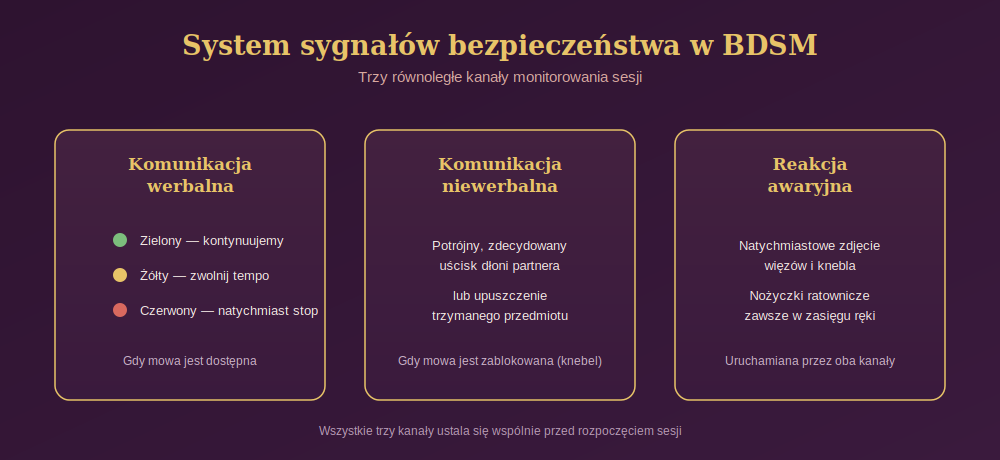 Diagram przedstawiający trzy kanały komunikacji bezpieczeństwa w BDSM: komunikację werbalną, niewerbalną i reakcję awaryjną