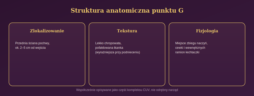 Diagram przedstawiający strukturę anatomiczną punktu G: lokalizację na przedniej ścianie pochwy, teksturę tkanki oraz fizjologiczne połączenie z łechtaczką