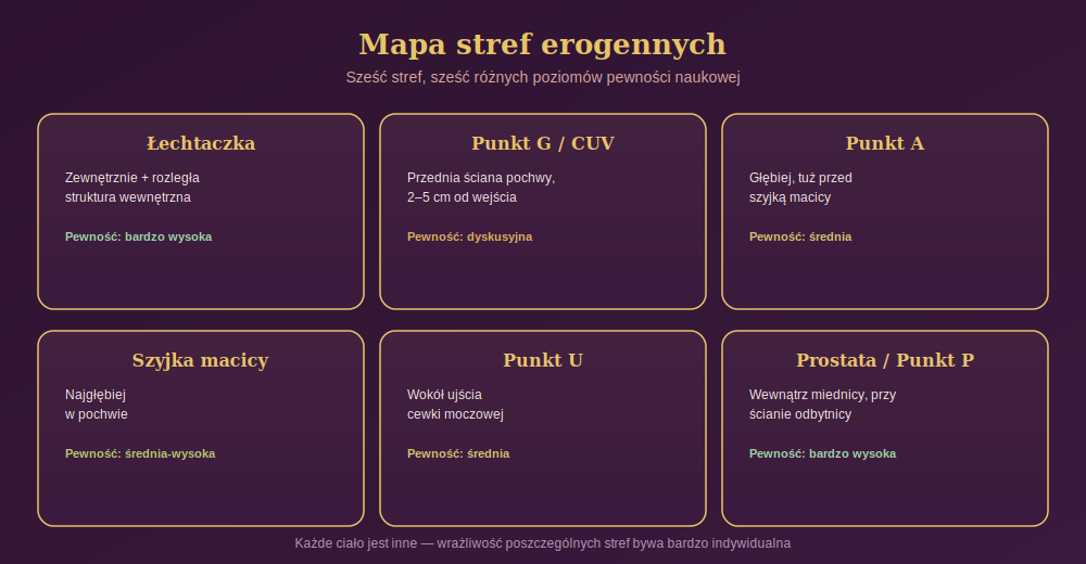 Diagram przedstawiający sześć stref erogennych &mdash; łechtaczkę, punkt G, punkt A, szyjkę macicy, punkt U i prostatę &mdash; wraz z ich lokalizacją i poziomem pewności naukowej