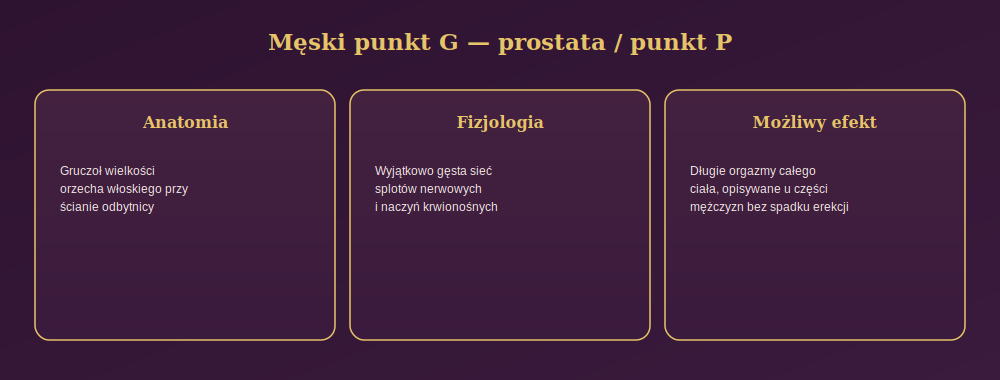 Diagram przedstawiający męski punkt G, czyli prostatę: jej anatomię, fizjologię oraz możliwy efekt stymulacji