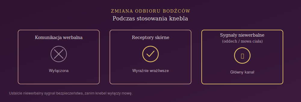 Schemat zmiany odbioru bodźców podczas stosowania knebla — komunikacja werbalna wyłączona, receptory skórne wrażliwsze, sygnały niewerbalne jako główny kanał