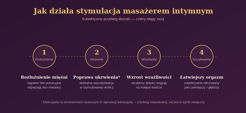Diagram przedstawiający cztery etapy stymulacji masażerem intymnym: rozluźnienie mięśni, poprawę ukrwienia, wzrost wrażliwości i etap szczytowania