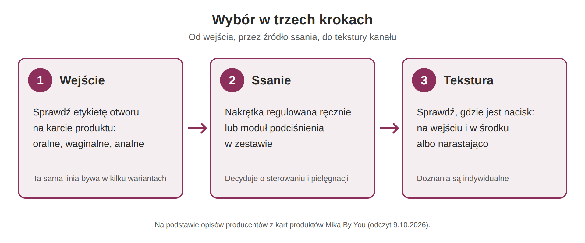 Schemat wyboru masturbatora oralnego w trzech krokach