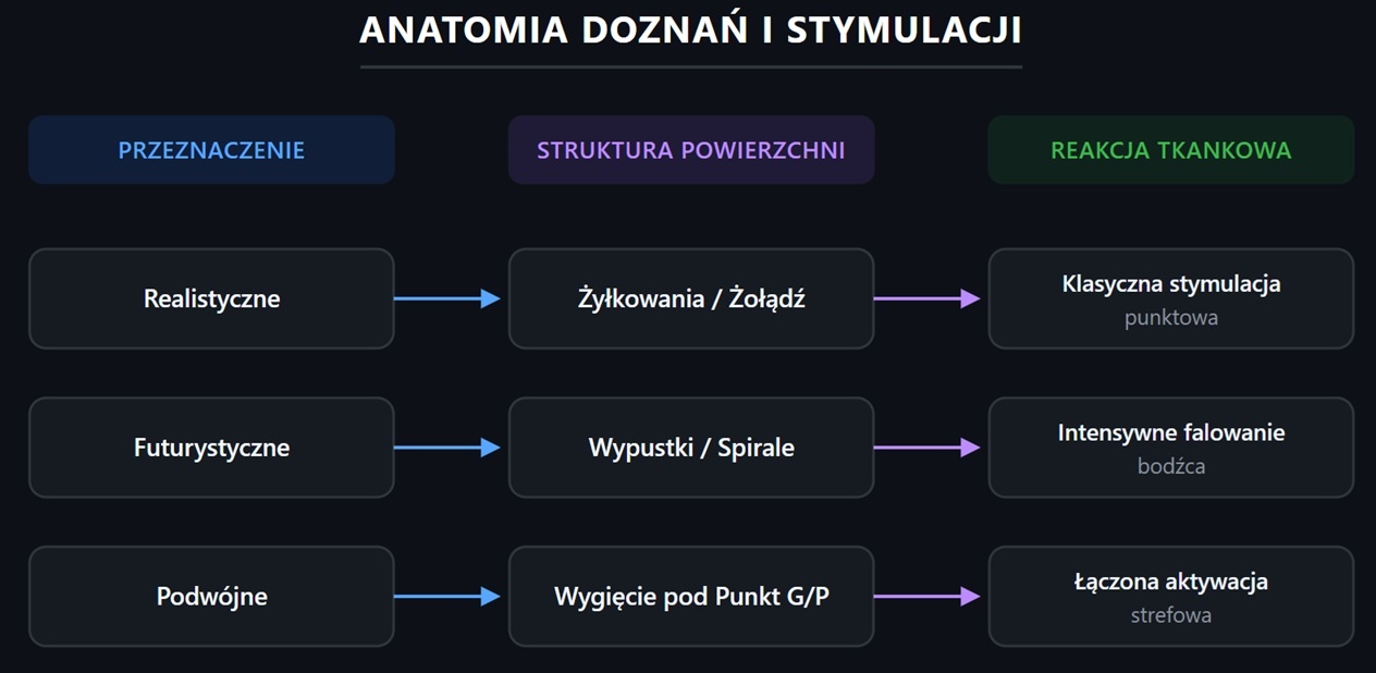 Schemat przedstawiający zależność między przeznaczeniem dildo, strukturą jego powierzchni a reakcją tkankową